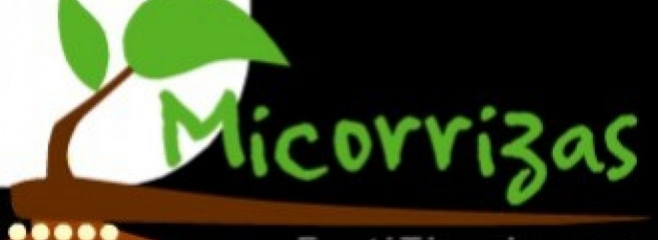 Micorrizas (Ectomicorrizas y Endomicorrizas) en árboles