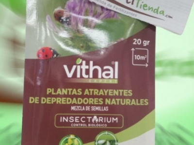 Las Plantas Atrayentes: Aliadas Naturales en la Agricultura