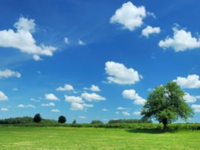 Tratamientos de otoño en frutales: cobre, urea y alternativas