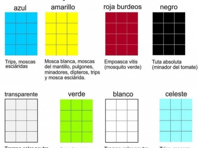 Trampas cromáticas: qué color elegir según la plaga y el cultivo